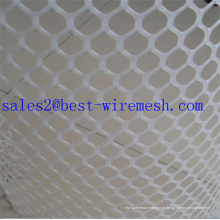 PP e PE Plastic Flat Wire Mesh para aves de capoeira